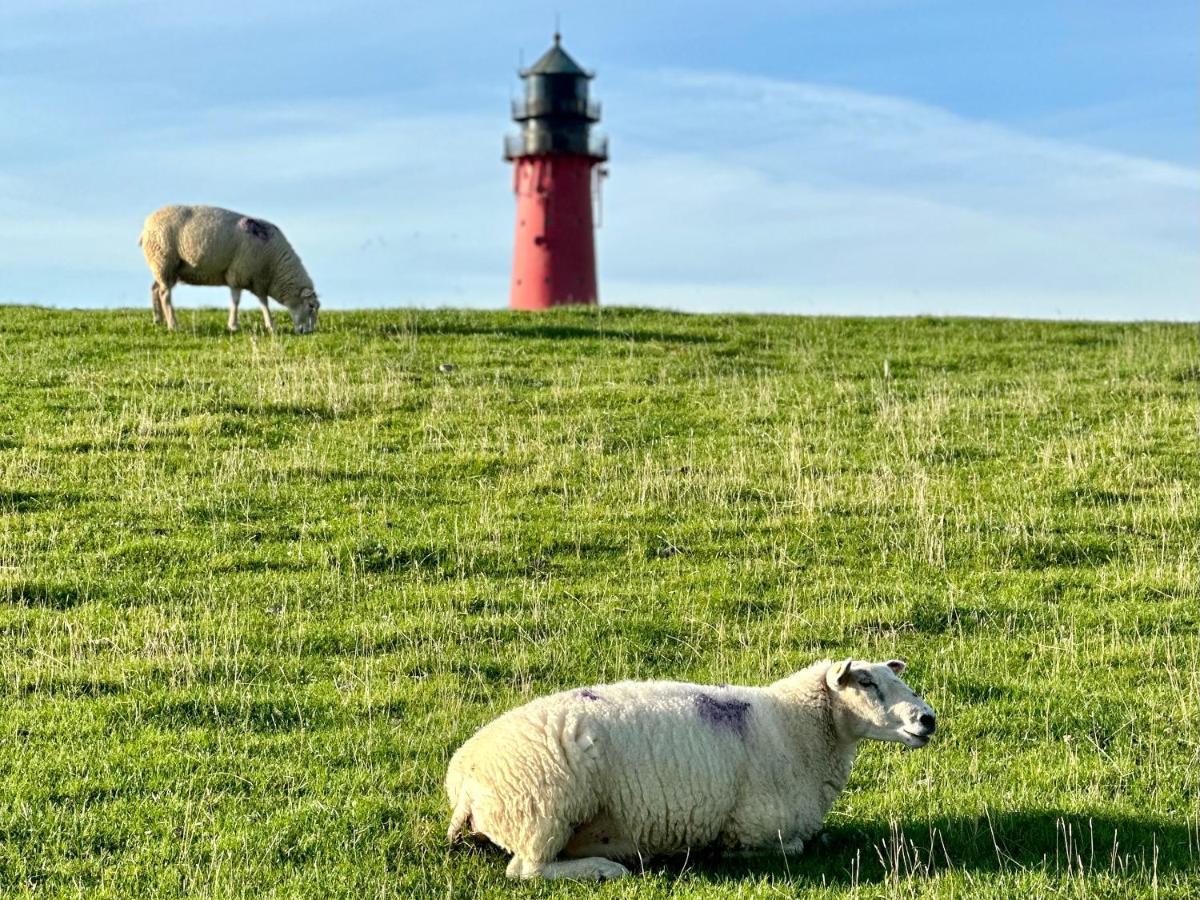 Perle Auf Pellworm Leilighet Eksteriør bilde